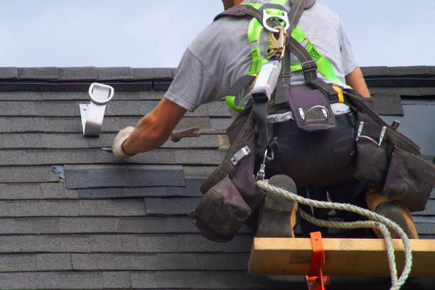 Best Roof Repair Services  in Sand Point, AK