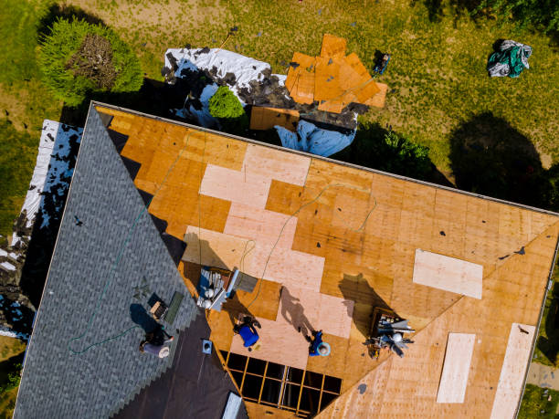 Best Tile Roofing Contractor  in Sand Point, AK
