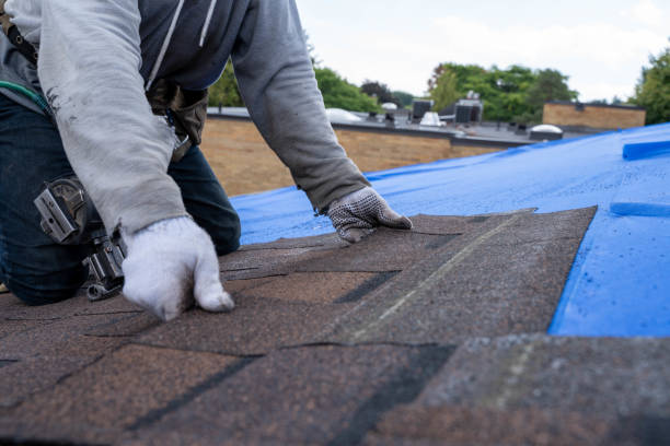 Best Roof Repair Services  in Sand Point, AK