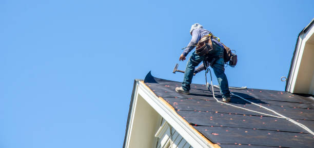 Best Roof Maintenance Services  in Sand Point, AK